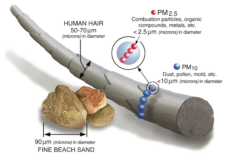 visualization of the size of PM2.5 and PM10 particulates, compared to sand and a human hair