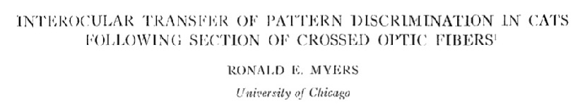 myers 1955 title